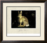 Buy Hare at AllPosters.com