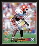 Brian Dawkins