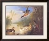 Buy Waterfowl in a Landscape at AllPosters.com