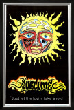 Sublime Sun Framed Art Print