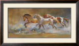 Buy Colors in the Dust at AllPosters.com