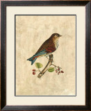 Buy Selby Birds III at AllPosters.com