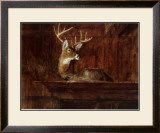 Buy Eleven Pointer, 1985 at AllPosters.com
