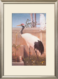 Buy Manchurian Crane, Cockatoo and Robin at AllPosters.com