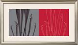 Buy Tiges, c.2006 at AllPosters.com