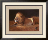 Majestic Lion