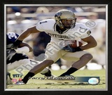 Larry Fitzgerald