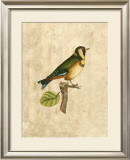 Buy Selby Birds I at AllPosters.com