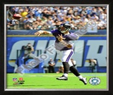 Joe Flacco 2009