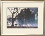 Buy Yosemite Dawn at AllPosters.com