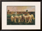 Five Lambs, 1988