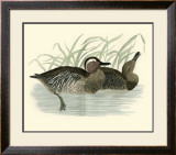 Buy Morris Ducks II at AllPosters.com