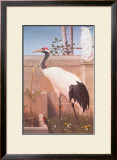 Buy Manchurian Crane, Cockatoo and Robin at AllPosters.com