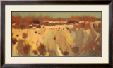 Buy Arido I at AllPosters.com