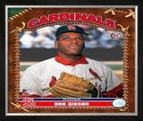 Bob Gibson