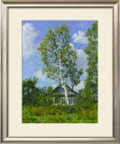 Birch Tree Near Dwelling Framed Art Print