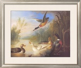 Buy Waterfowl in a Landscape at AllPosters.com