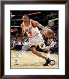 Shawn Marion