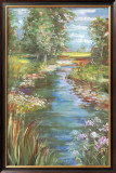 Stream