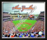 Shea Stadium Final Game 2008