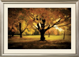 Buy Under the Tree at AllPosters.com