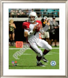 Buy Matt Leinart 2009 at AllPosters.com