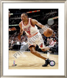 Shawn Marion