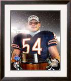 Brian Urlacher