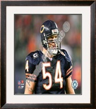 Brian Urlacher