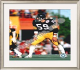 Jack Ham Action