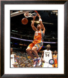 Shawn Marion