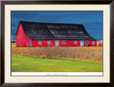 Big Red Framed Art Print