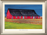 Big Red Framed Art Print