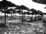 Sun Shades - Kos Beach