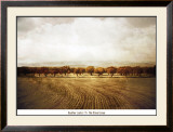 Buy The Olive Grove at AllPosters.com