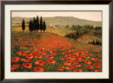 Hills of Tuscany I Framed Art Print
