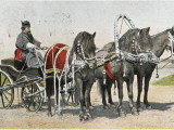 A Russian Troika, with Three Horses and a Coachman
