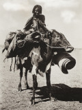 Sudan - Native Woman Riding a Sturdy Brahma Cow - Kordofan