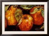 Summer Fruit