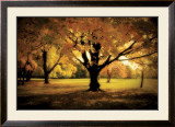 Buy Under the Tree at AllPosters.com