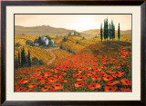 Hills of Tuscany II Framed Art Print