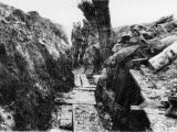 Willow Trench 1914 Photographic Print