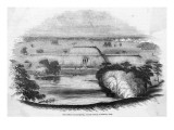 The Palm House in Kew Gardens, as Projected in 1845