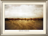 Buy The Olive Grove at AllPosters.com