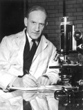 Robert Robertson, Pioneer in the Synthetic Production of Penicillin