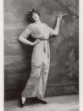 Beaded Evening Robe 1913