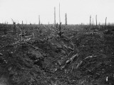 An Old German Trench Running Through the Devastated Landscape That Was Once Delville Wood Photographic Print