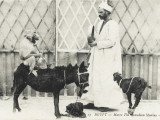 Egypt - 'Marco the Comedian Monkey' Photographic Print