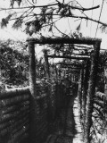 Camouflaged Communication Trench Near Hill 60 in the Ypres Sector During World War I Photographic Print