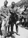 Australian Soldiers at Gallipoli During World War I